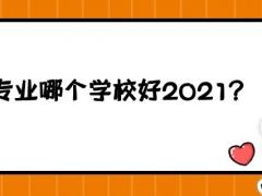 空乘專業(yè)哪個學校好2021？