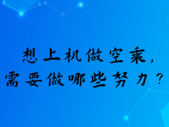 想上機做空乘，需要做哪些努力？