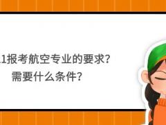 2021報(bào)考航空專業(yè)的要求？需要什么條件？